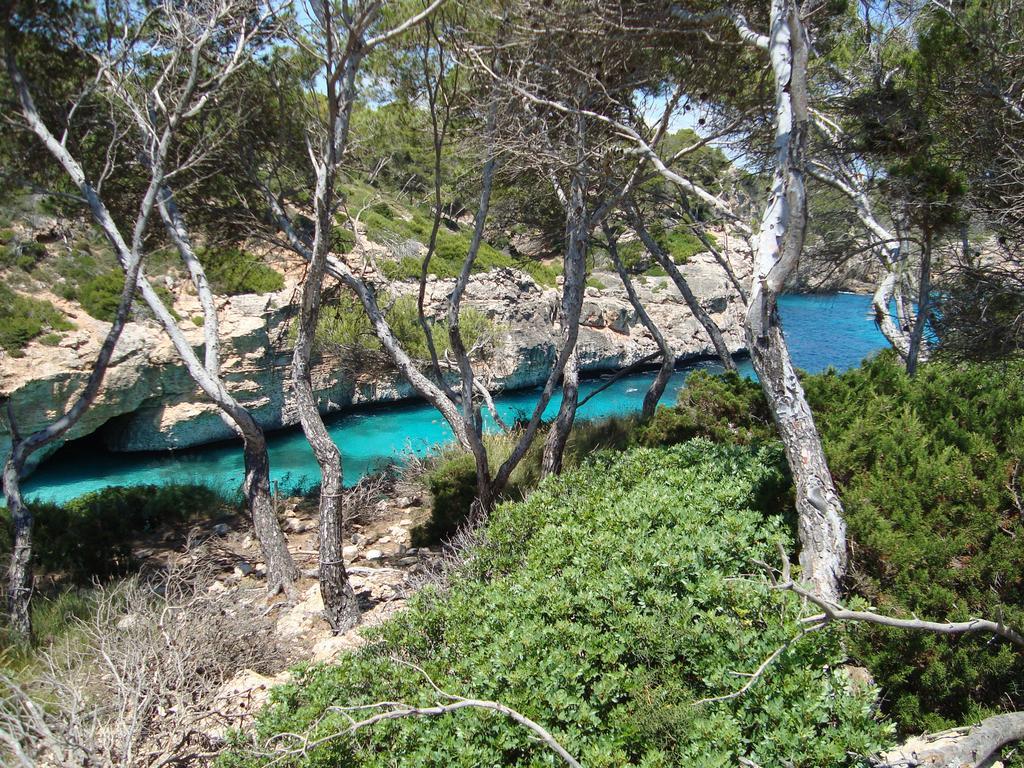 Marina D Or Daire Cala D´Or Dış mekan fotoğraf